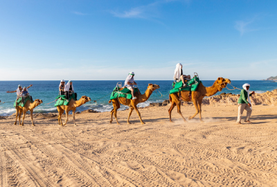 Tours in ATV or in Camels
