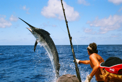 Sport Fishing in Los Cabos