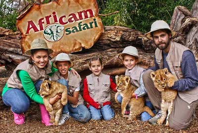 Africam Safari