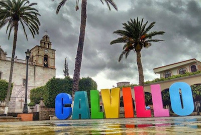 Calvillo