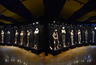 Mummy Museum