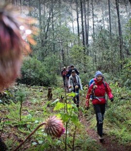 Ecotourism in Oaxaca
