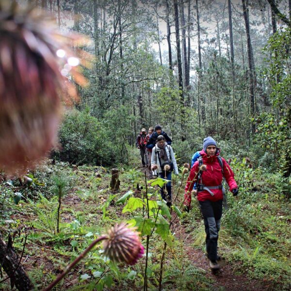 Ecotourism in Oaxaca