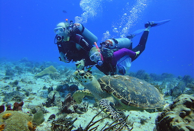 Cozumel Reefs