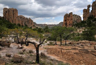 Sierra de Órganos National Park