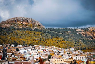 El Cerro de la Bufa