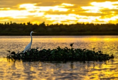 Tres Palos Lagoon