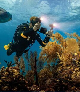 Ecotourism in Acapulco