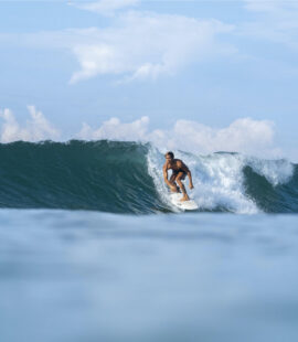 Ecotourism in Ixtapa-Zihuatanejo