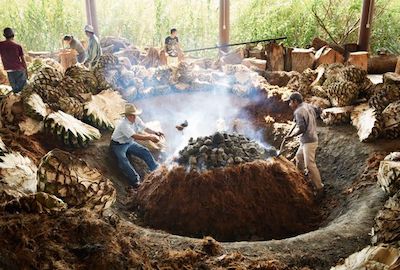 Mezcal - Cooking