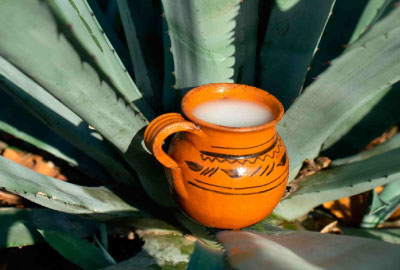 Pulque - Estado de Mexico