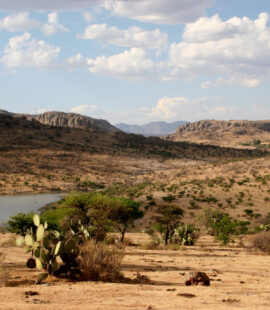 Archaeological Sites in Aguascalientes