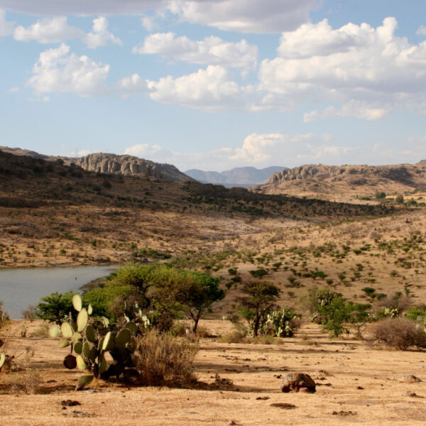 Archaeological Sites in Aguascalientes