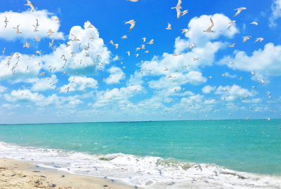 Playa Manigua - Campeche