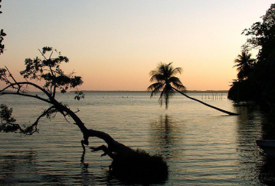 Terminos Lagoon - Isla Aguada