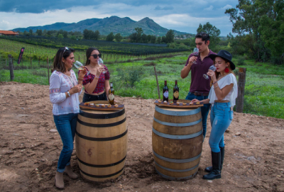 Aguascalientes Wine Route