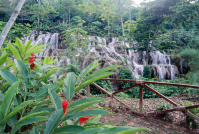 Reserva Ecológica de Kolem Jaá