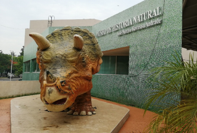José Narciso Rovirosa Andrade Natural History Museum