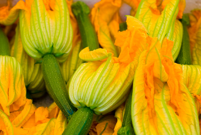 Pumpkin Flowers