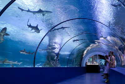The Mazatlan Aquarium