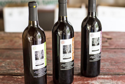 Wines from Parras